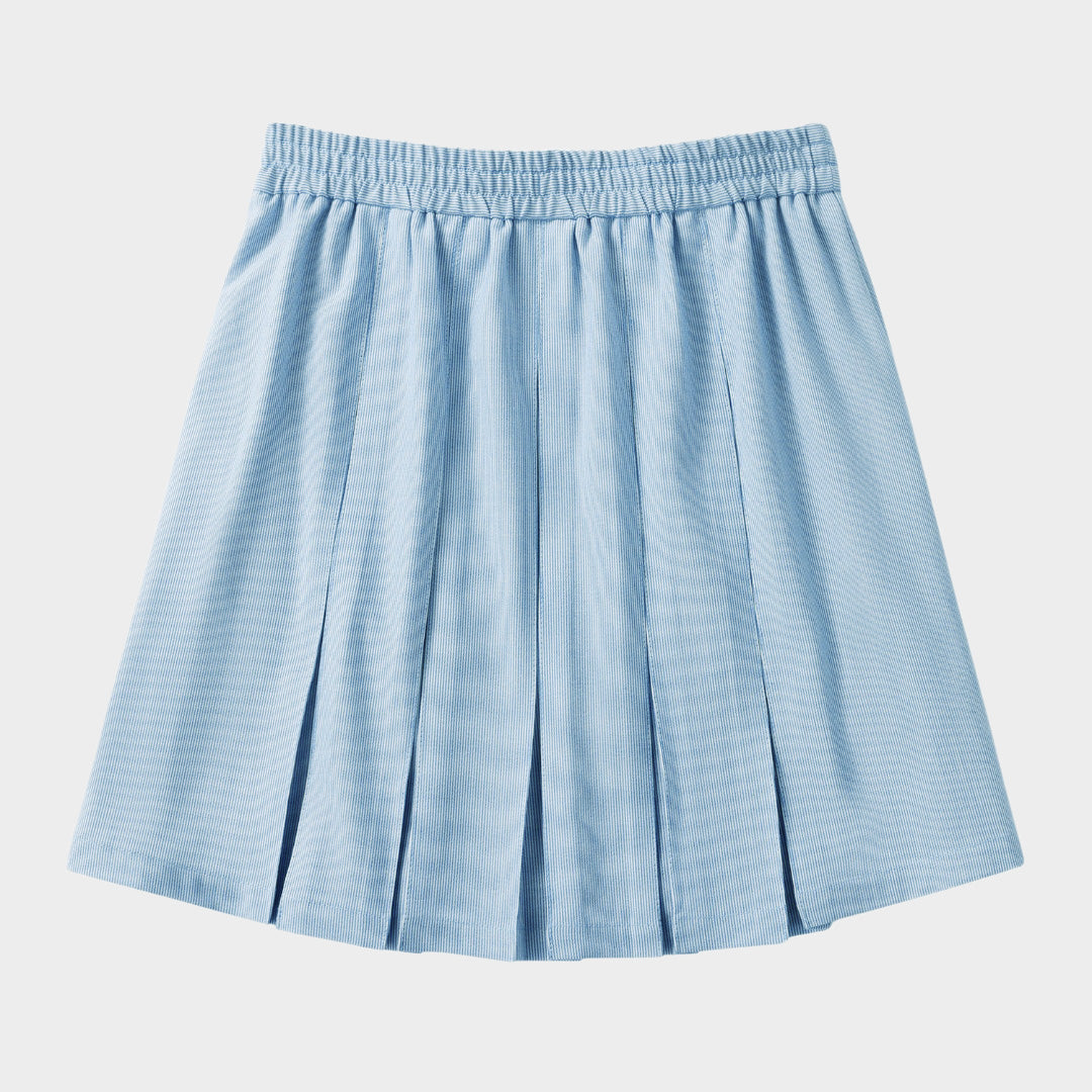 Classic Pleated Skirt Light Blue Pin Feather