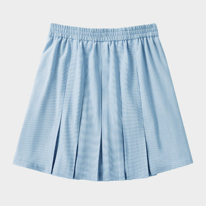 Classic Pleated Skirt Light Blue Pin Feather